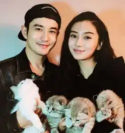 angelababy奶茶店打6折都没人买,网友4字道出真相