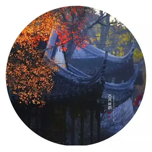 古风秋韵剑佛