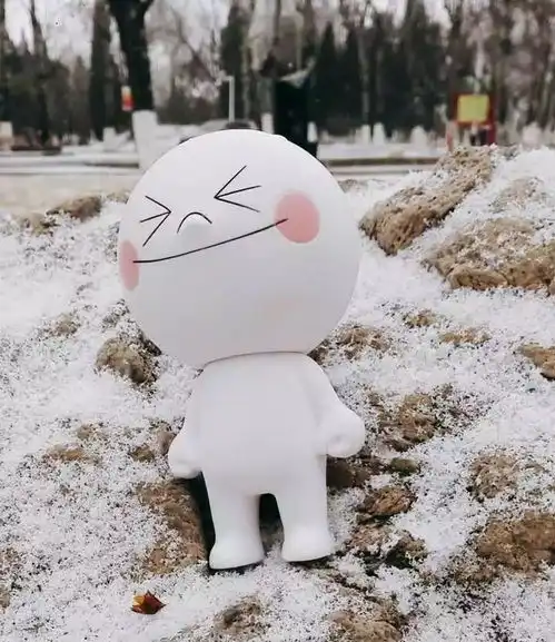 点击,收获南开新春的第一片雪花