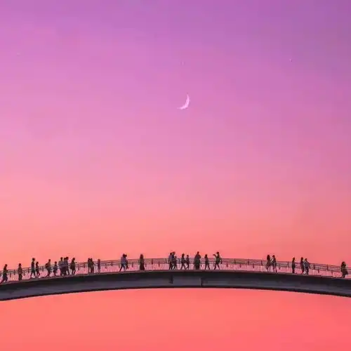 测试一个超长简介的文章