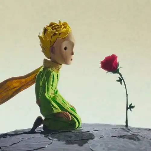小王子中的玫瑰花是作者对妻子的愧悔