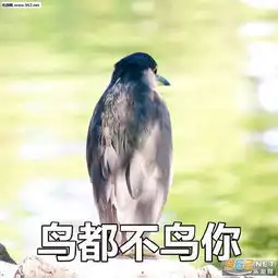 来抓我抓我抓我表情包图片富婆叫我了告辞表情包下载乐游网游戏下载