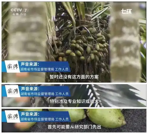 无标题