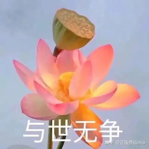 怎样成为像双笙三无那样的网络歌手