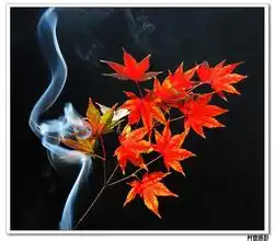 女孩子的qq空间想换一个古风名和头像