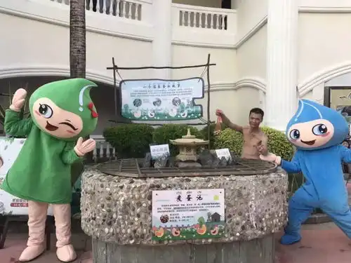 咚咚咚您的元旦旅游推荐到了请查收