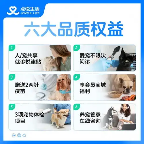 宠物经济逆势增长,点悦生活人宠共保探索人宠关系新可能