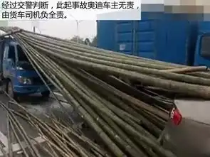 险奥迪遭竹子万箭穿心