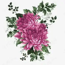 花卉素材图片免费下载高清装饰图案png千库网图片编号113765