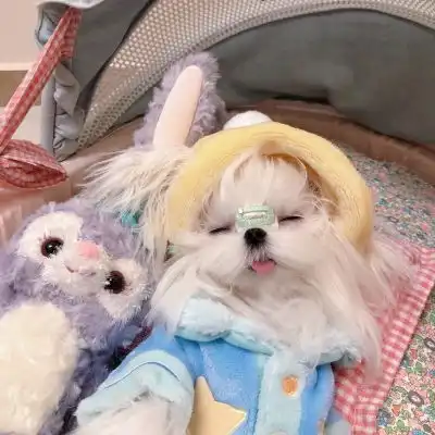 测试一个超长简介的文章