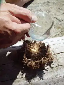 避孕套除了爱爱还有你想不到的用途
