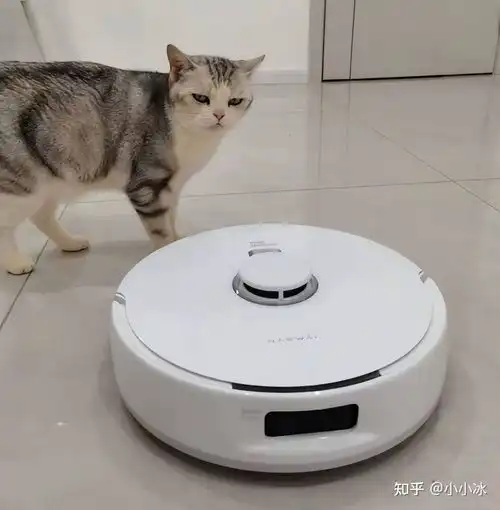 2024年618云鲸扫地机器人推荐扫地机器人选购指南,云鲸扫地机器人好用吗云鲸哪款扫地机器人好云鲸高性价扫地机器人推荐,云鲸扫地机器人全型号盘点