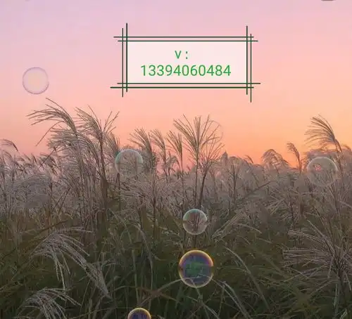 测试一个超长简介的文章