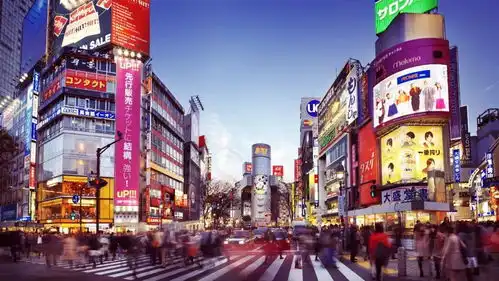 慢品日本丨秒速5厘米的相遇