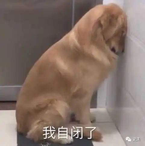 靠神图爆红网络的女神竟全是照骗被骗了30年,赔钱