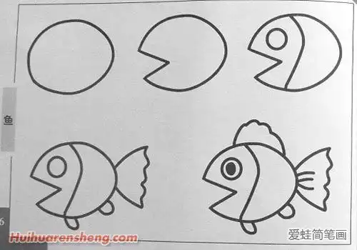 鱼的简笔画