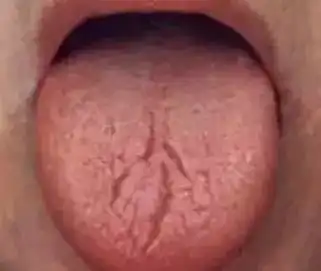 测试一个超长简介的文章