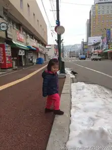 默默喏喏游天下2015年春节日本12日自由行东京北海道大阪