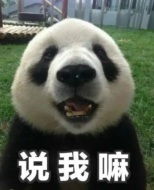 大反转,竟然是女孩网友花花知道自己的弟弟变妹妹了吗