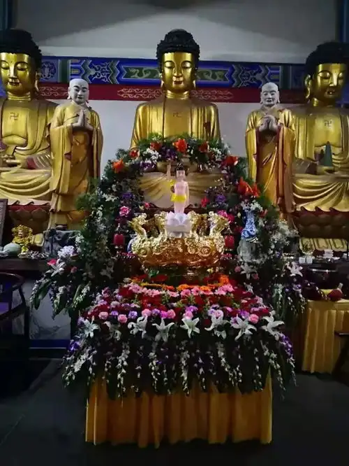2021佛诞日直击各地佛寺浴佛现场,同沾法喜获福无量