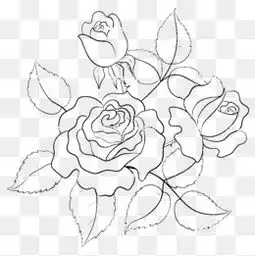 免费下载素描玫瑰花图片大全千库网png
