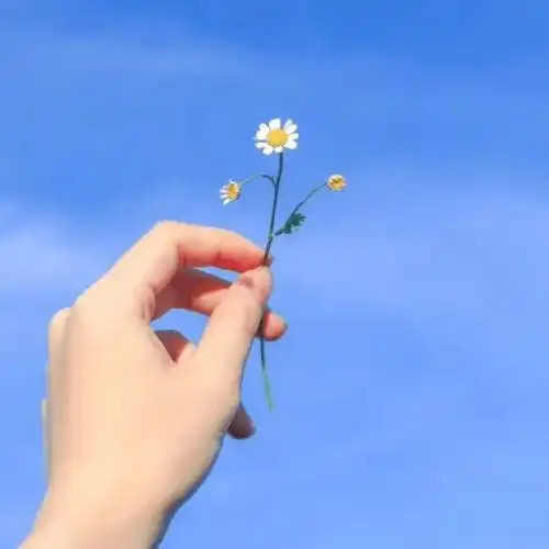 用自己照片当微信头像的人,都是什么样的人很准