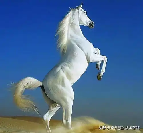 一匹马等于一个营一把剑等于一个团为何古人还觉得这很值