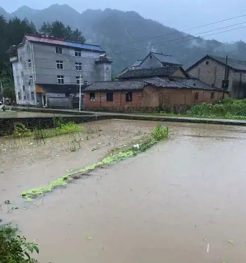 小夫妻过原始生活12年亲手接生三个孩子,在山里自给自足