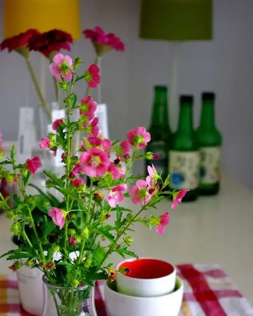 diy改造30㎡露台花园,唯美小资小清新,真是美得一塌糊涂