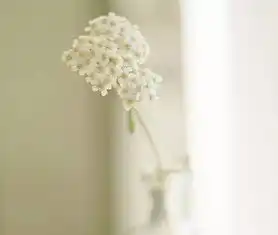 一首不是因为寂寞才想你熟悉的味道熟悉的幼稚