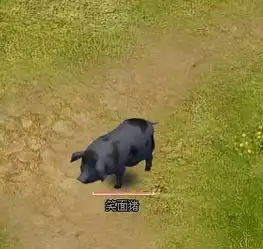 真命逗黑猪乐趣多循环任务介绍