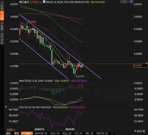 澳元美元技术解读,分析师从技术面来看,周一1月20日欧洲交易时段,澳元美元交投于0.62附近,试图突破日线图上的下降通道若成功突破,可能会削弱当前的下行趋势