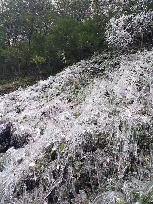 1月1日仙居雪洞赏冰挂,带你偶遇童话世界般美丽的冰凌冰瀑景观,中午农家,下午休闲游高迁古村
