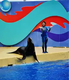 疯狂玩乐,暴走港澳汤圆哥小黑妹6日自助游