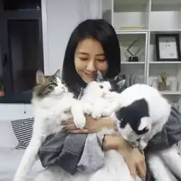 组图高圆圆猫咪成长速度惊人手抱三只超有爱
