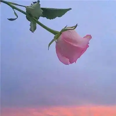 怎么和自己的另一半好好说话