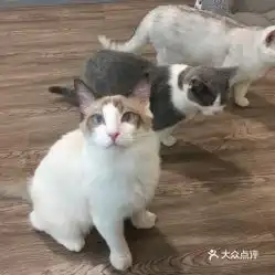 电话,地址,价格,营业时间