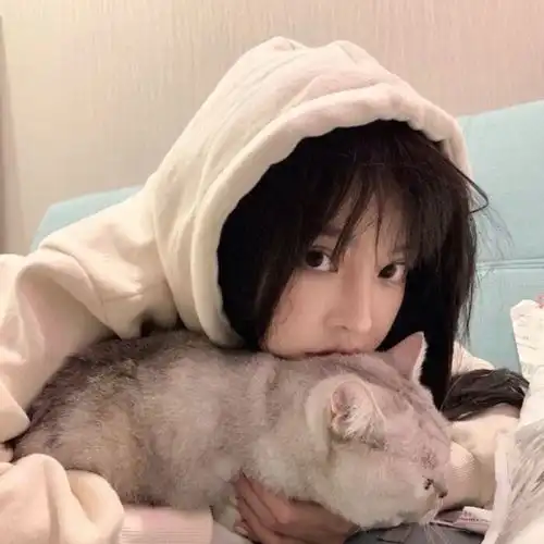 测试一个超长简介的文章
