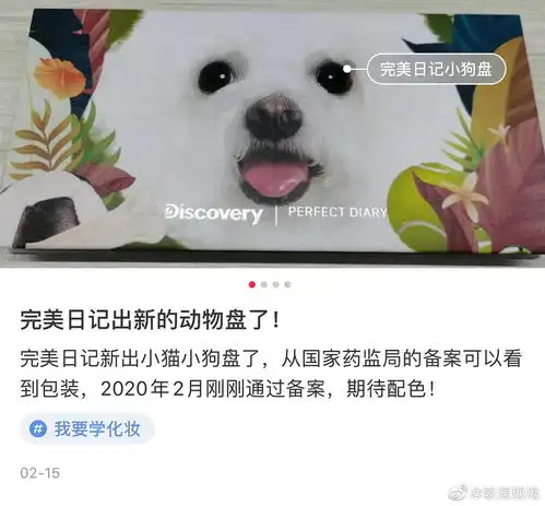 never真的合作眼影盘了