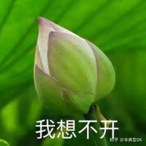 有哪些中老年女性适合的头像