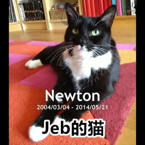 notch真的死了我的世界关于mojang你可能不知道12件事的真相