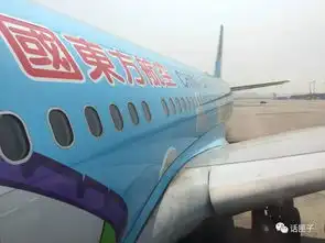 玩具总动员上天东航第三架迪士尼号有点什么不一样