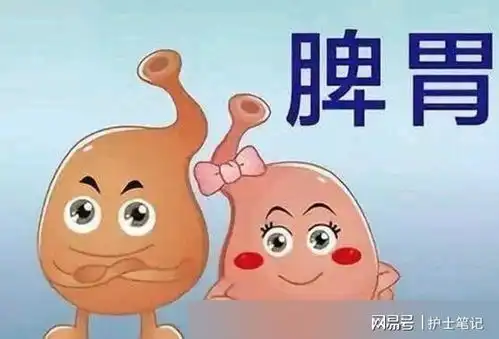 这种满是裂纹的舌象,到底怎么补