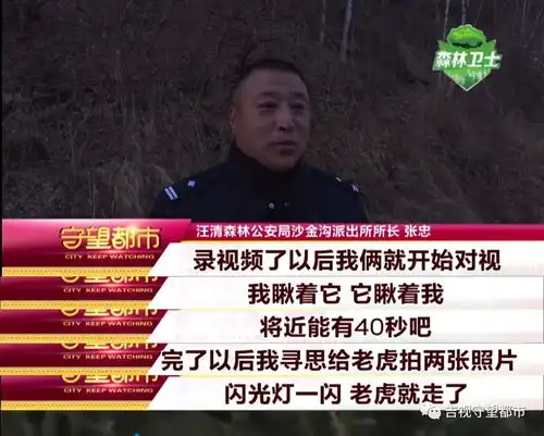 王之凝视汪清民警夜遇野生东北虎
