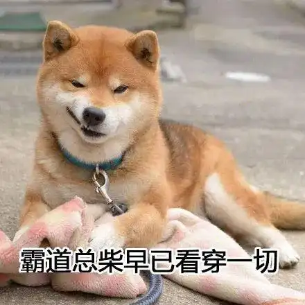 行业冥灯罗永浩,重出江湖