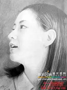 求甄子丹素描头像