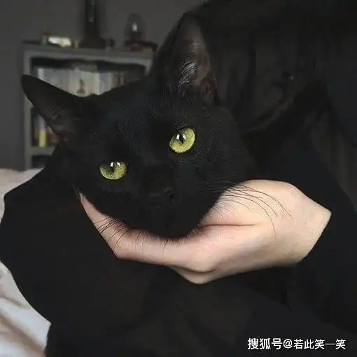 能笑到断气的人自然可以哭得无声无息