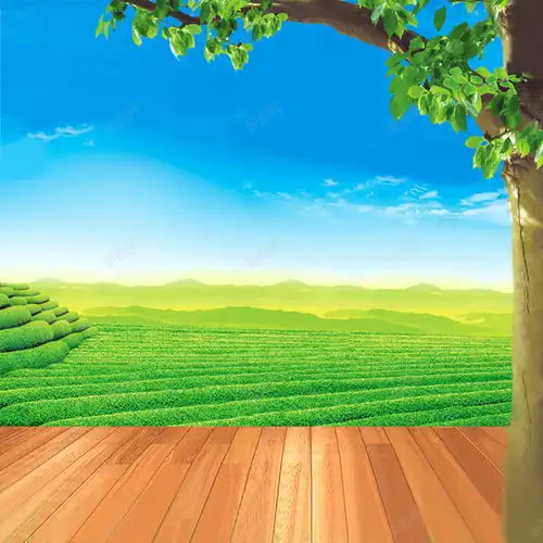 唯美茶园背景高清素材风景页面网页平面电商创意素材木地板素材