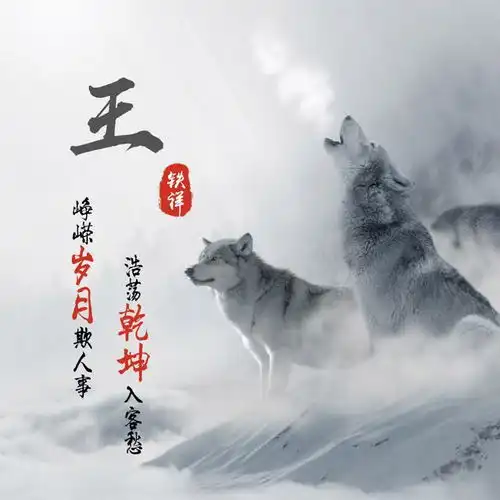 测试一个超长简介的文章