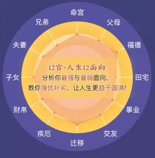 紫微12宫测你2022虎年运程